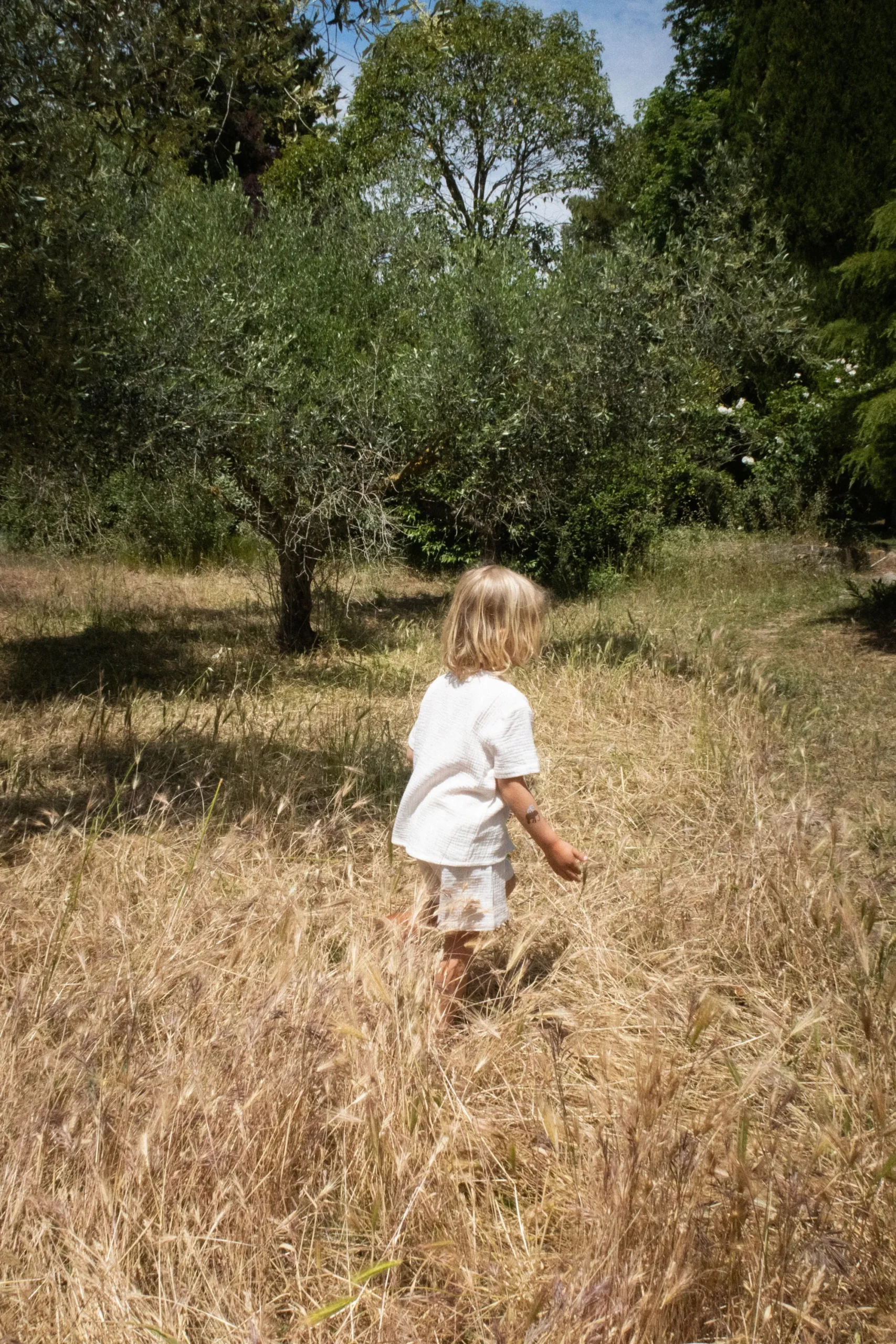 Konges Sløjd Olive Shorts -