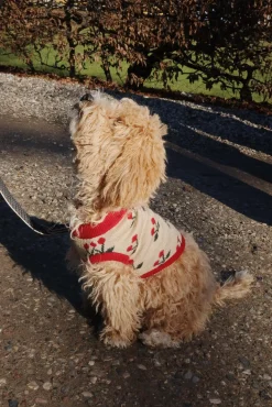 Konges Sløjd Strikket Hundesweater -